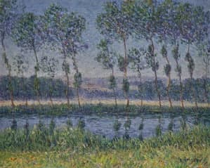 Loiseau Gustave