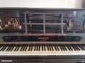 Taxatie van Piano Pleyel Paris N° 13 93 96 – Beoordeling door een Expert