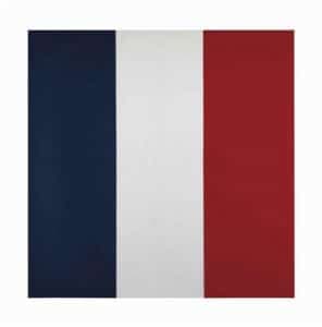 Vlag Jean-Pierre Raynaud : expertise en taxatie