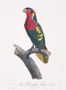 Jacques Barraband