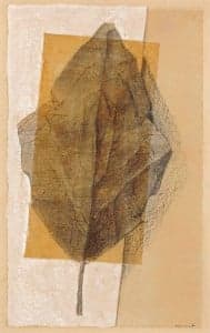 Max Ernst