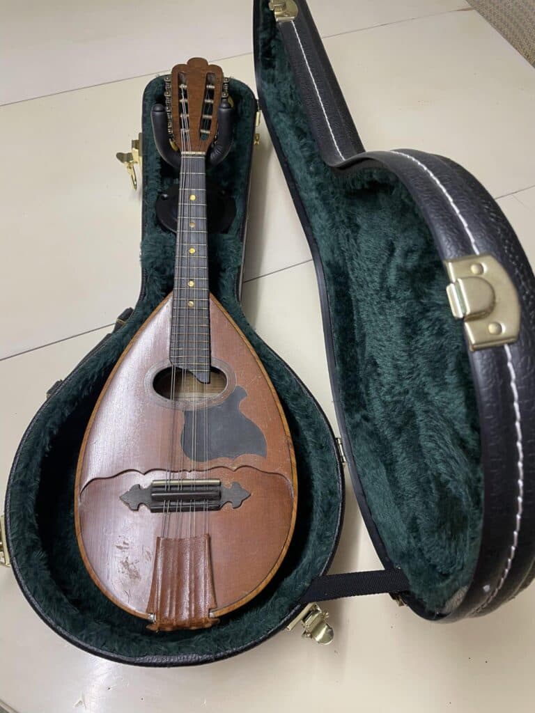 Taxatie van een mandoline van Lucien Gélas Taxatie van een mandoline van Lucien Gélas